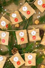 Face arrière calendrier de l'Avent pour chiens